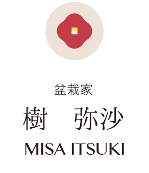 樹　弥沙